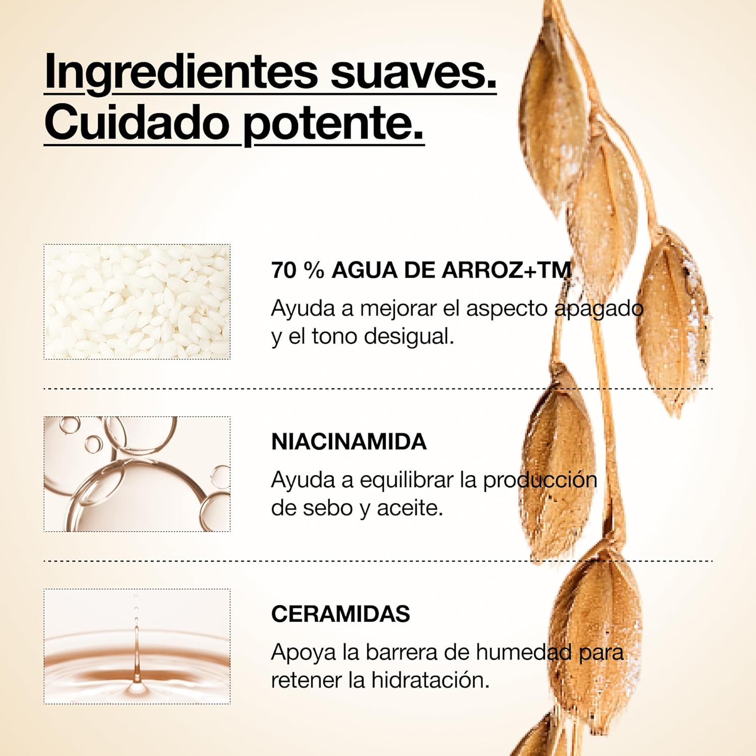 Anua - Tónico facial Rice 70+ Ceramide Milk Toner 250